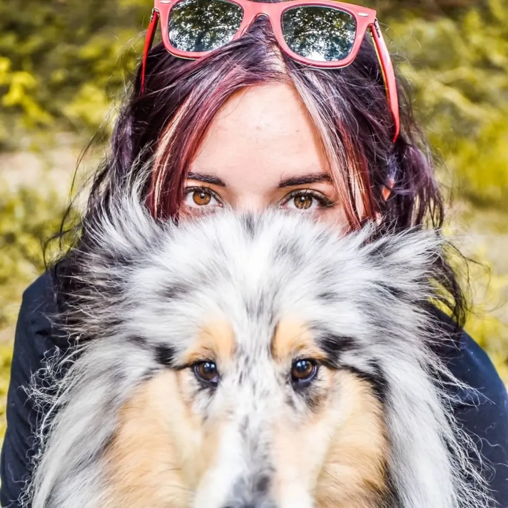 chiens (5)