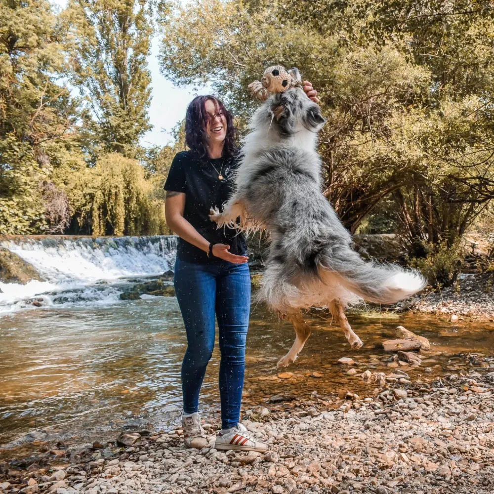 Service de pension pour animaux à Marsillargues